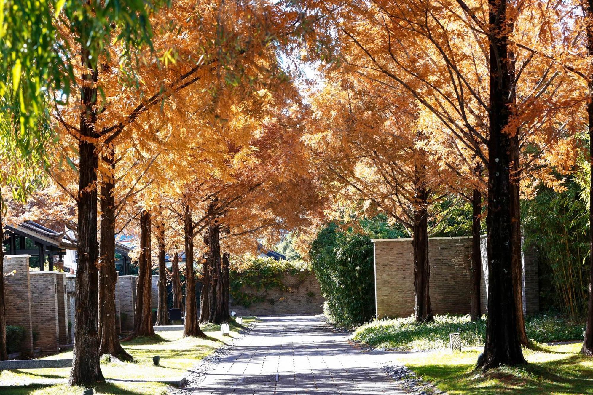 Отель Banyan Tree Lijiang Лицзян Экстерьер фото