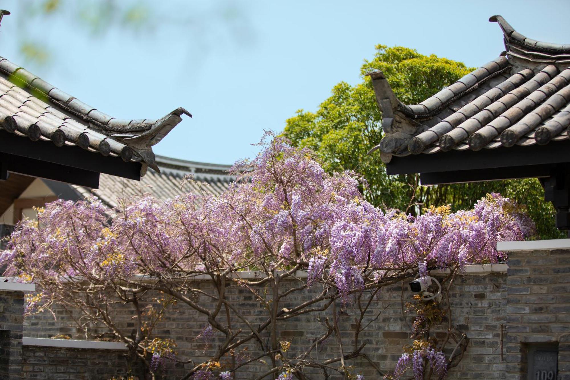 Отель Banyan Tree Lijiang Лицзян Экстерьер фото